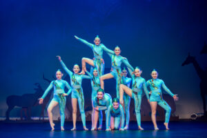 AOD dance shows