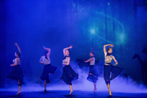 Academy of Dance Shows